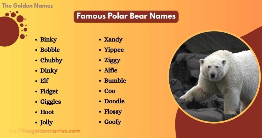 Famous Polar Bear Names