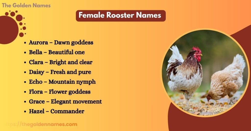 Female Rooster Names 