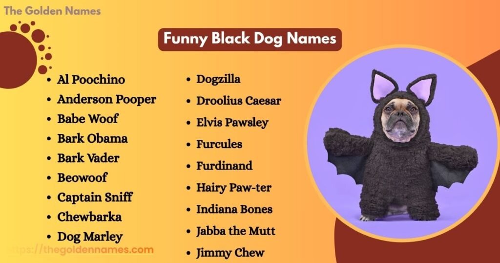 Funny Black Dog Names