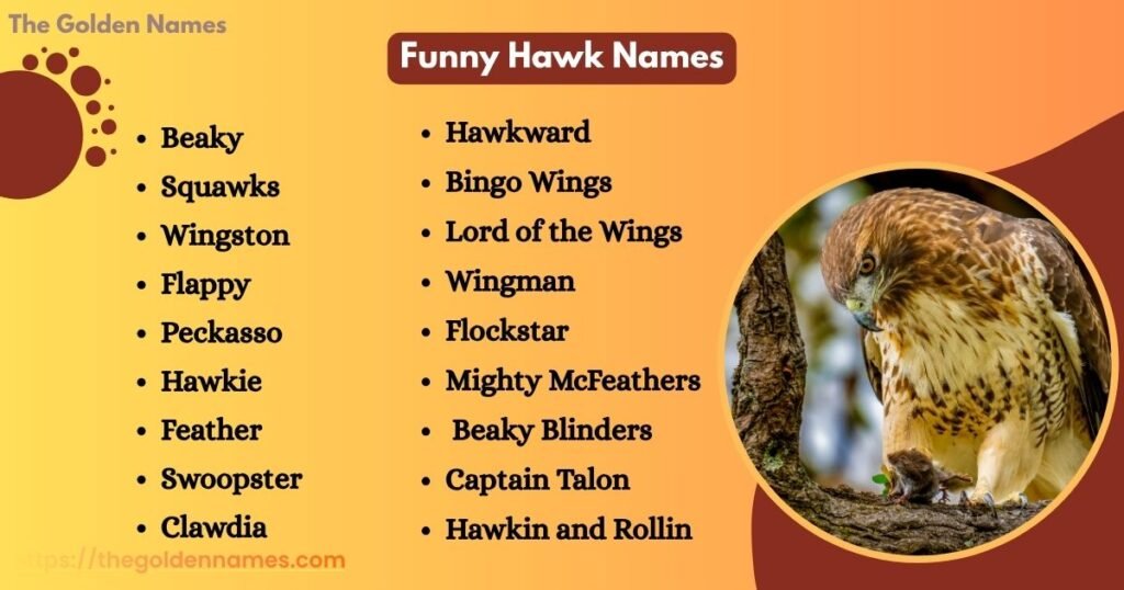 Funny Hawk Names