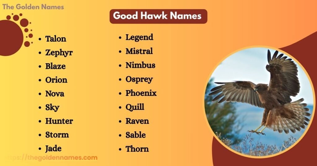 Good Hawk Names 