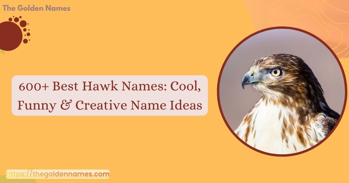 Hawk Names