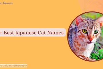 Japanese Cat Names