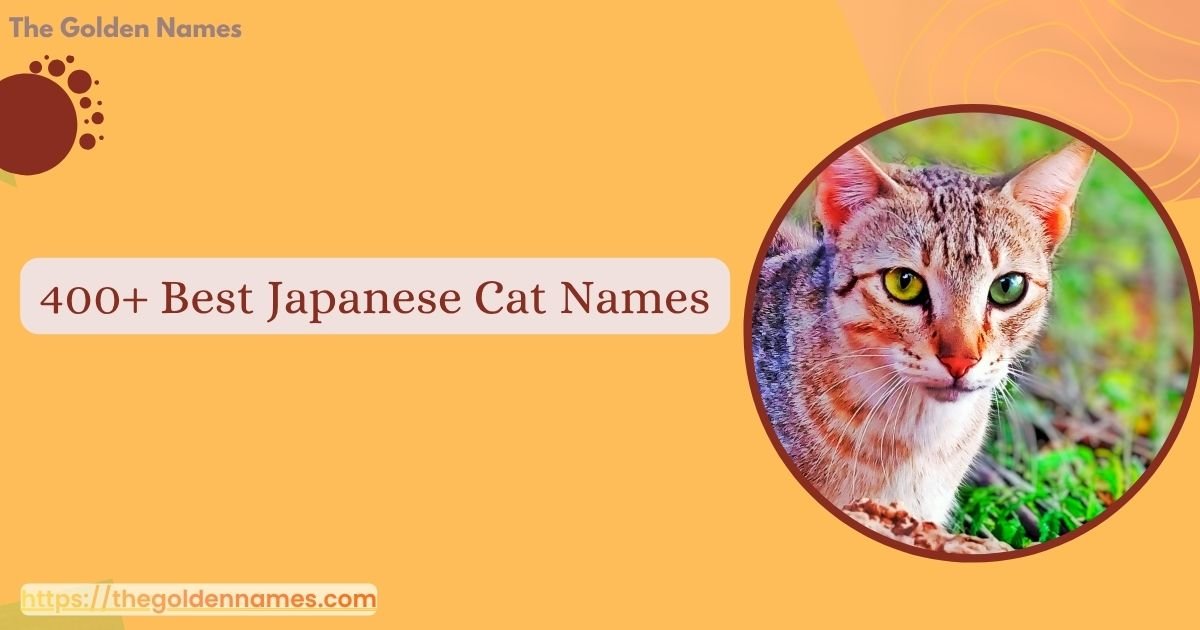 Japanese Cat Names