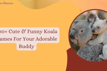 Koala Names