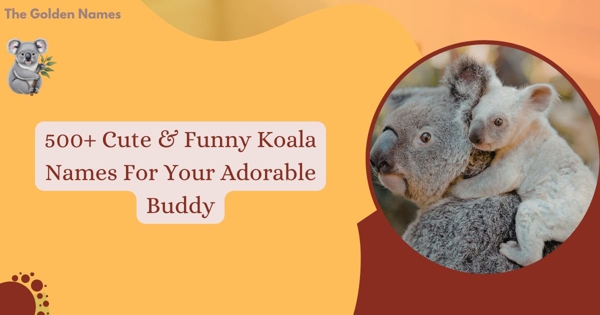 Koala Names