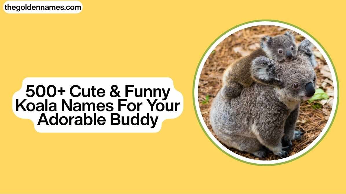 Koala Names