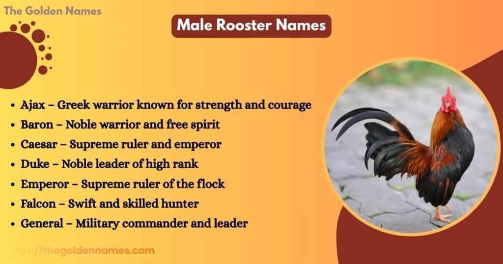 Male Rooster Names