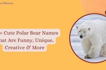 Polar Bear Names