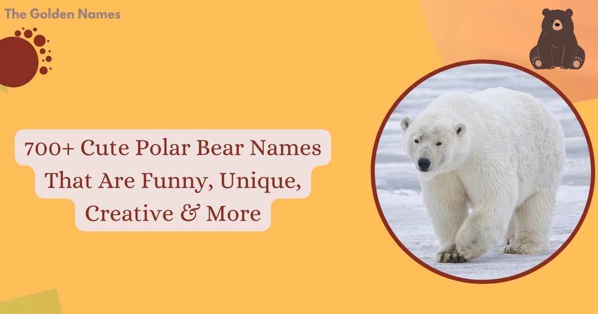 Polar Bear Names
