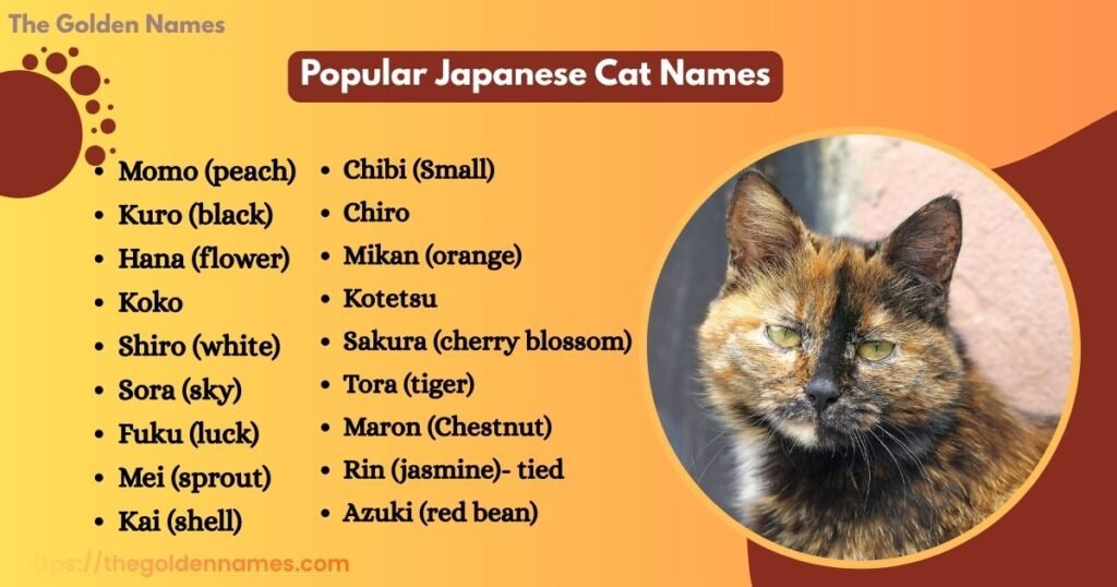 Popular Japanese Cat Names
