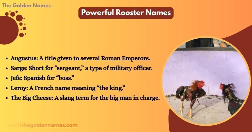 Powerful Rooster Names