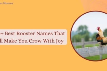 Rooster Names