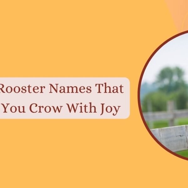 Rooster Names
