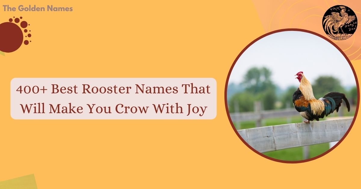 Rooster Names