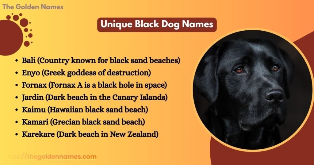Unique Black Dog Names