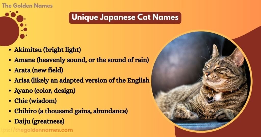 Unique Japanese Cat Names