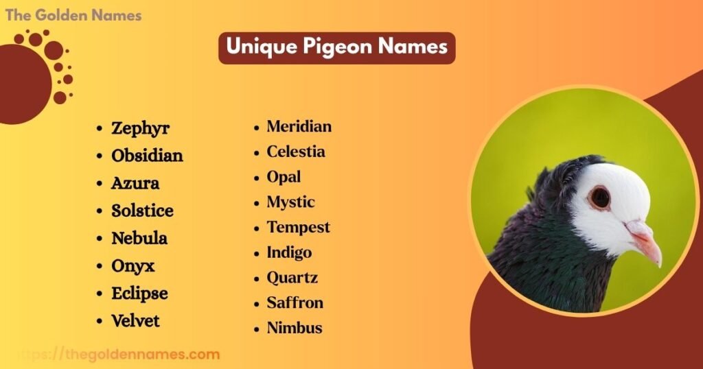 Unique Pigeon Names