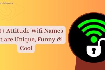 Attitude Wifi Names