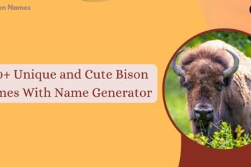 Bison Names