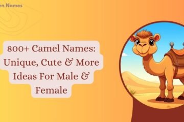 Camel Names