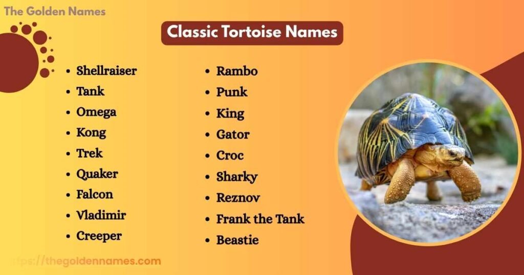 Classic Tortoise Names