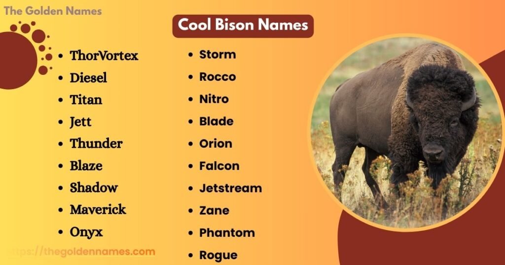 Cool Bison Names