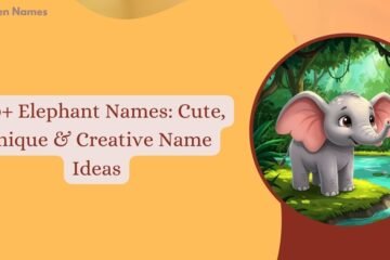 Elephant Names