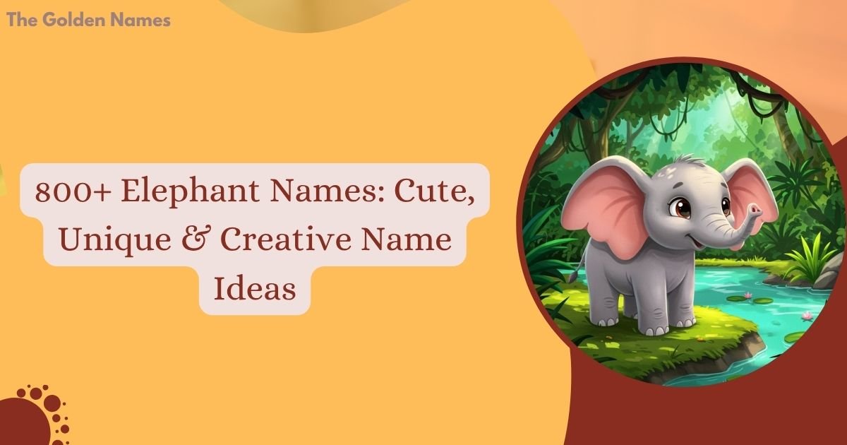 Elephant Names