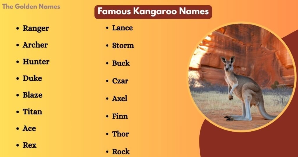 Famous Kangaroo Names