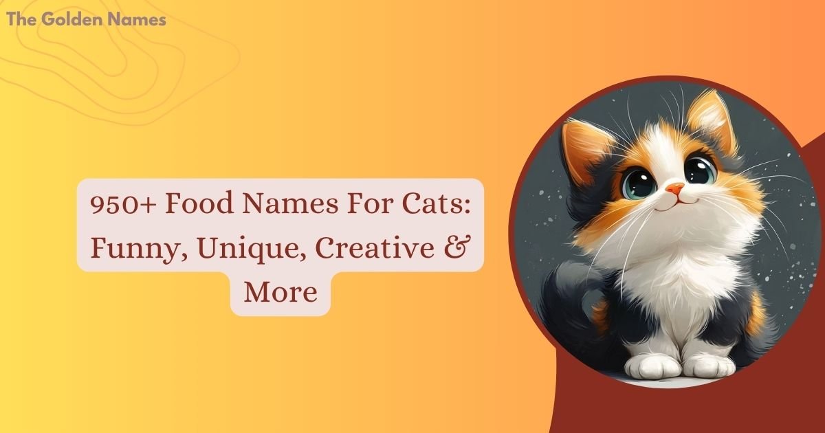 Food Names For Cats