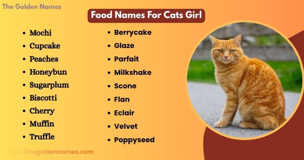 Food Names For Cats Girl