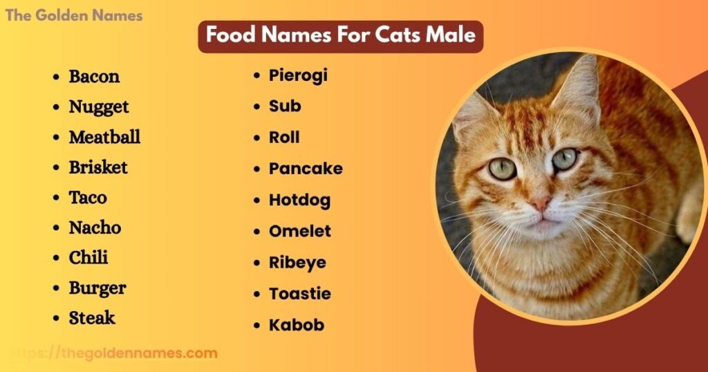 Food Names For Cats Male