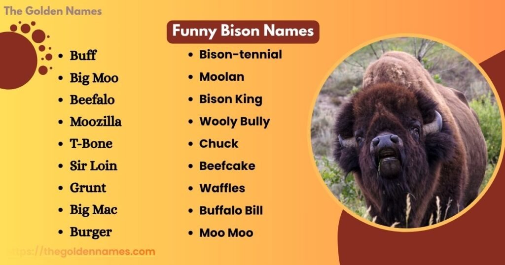 Funny Bison Names