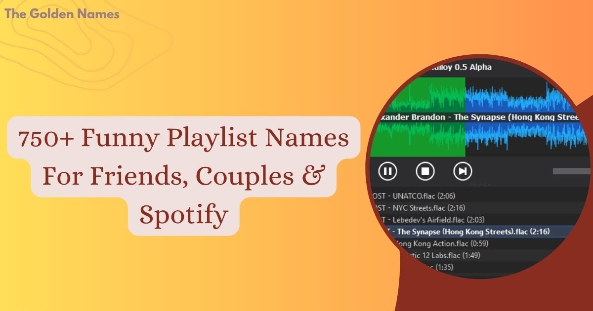 Funny Playlist Names