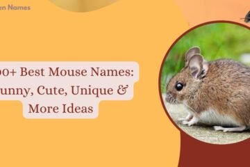 Mouse Names