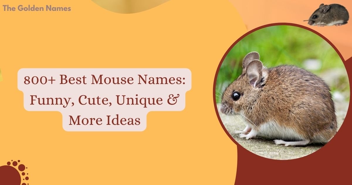 Mouse Names