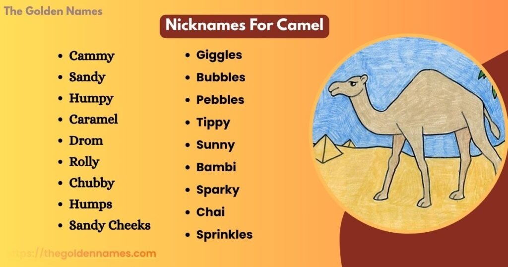 Nicknames For Camel