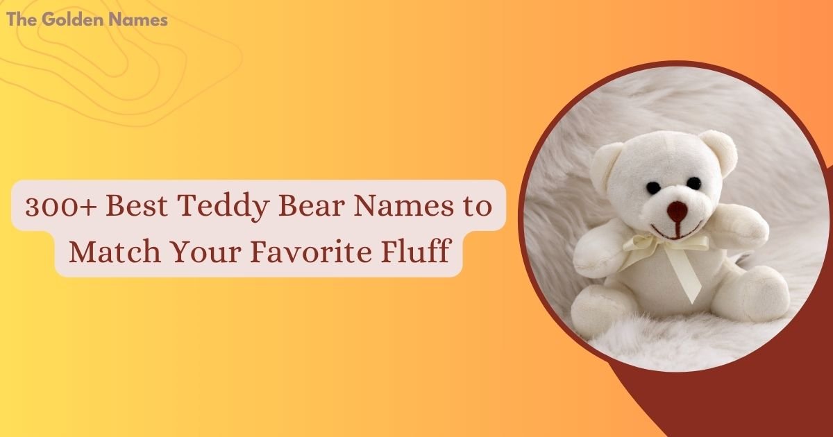 Teddy Bear Names
