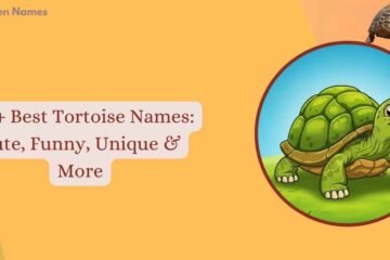 Tortoise Names