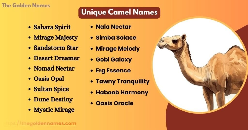 Unique Camel Names